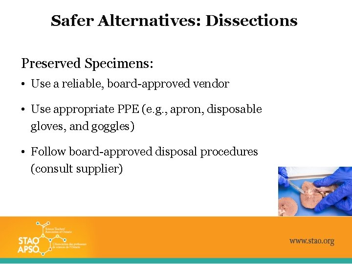 Safer Alternatives: Dissections Preserved Specimens: • Use a reliable, board-approved vendor • Use appropriate