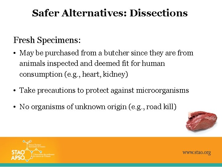 Safer Alternatives: Dissections Fresh Specimens: • May be purchased from a butcher since they