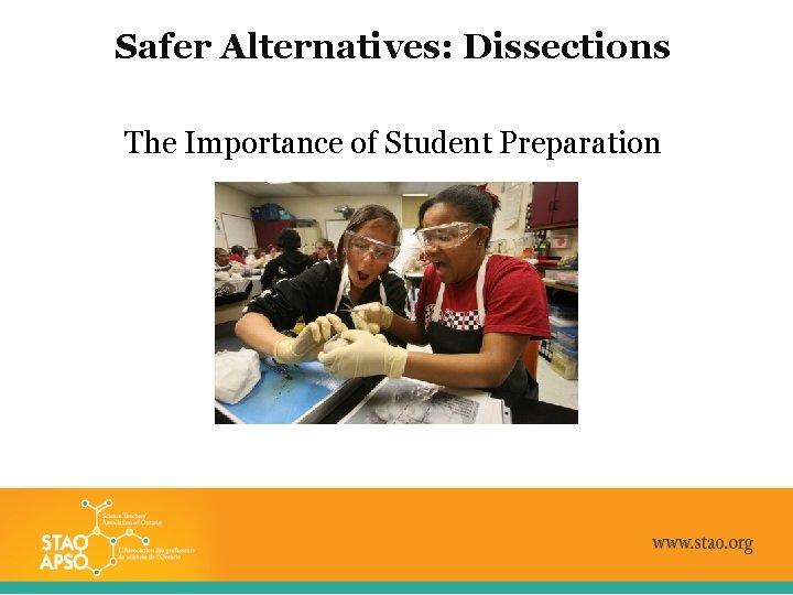 Safer Alternatives: Dissections The Importance of Student Preparation 
