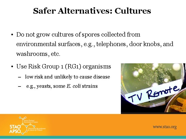 Safer Alternatives: Cultures • Do not grow cultures of spores collected from environmental surfaces,