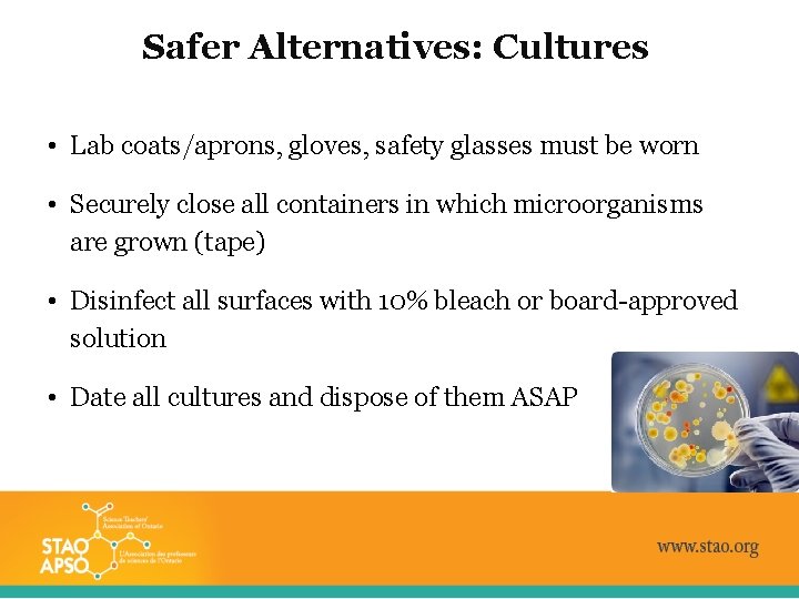 Safer Alternatives: Cultures • Lab coats/aprons, gloves, safety glasses must be worn • Securely