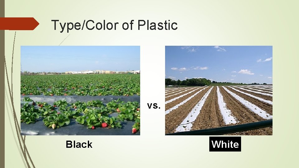 Type/Color of Plastic vs. Black White 
