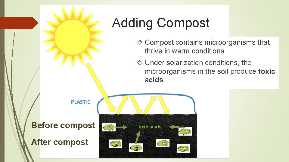 Adding Compost contains microorganisms that thrive in warm conditions Under solarization conditions, the microorganisms