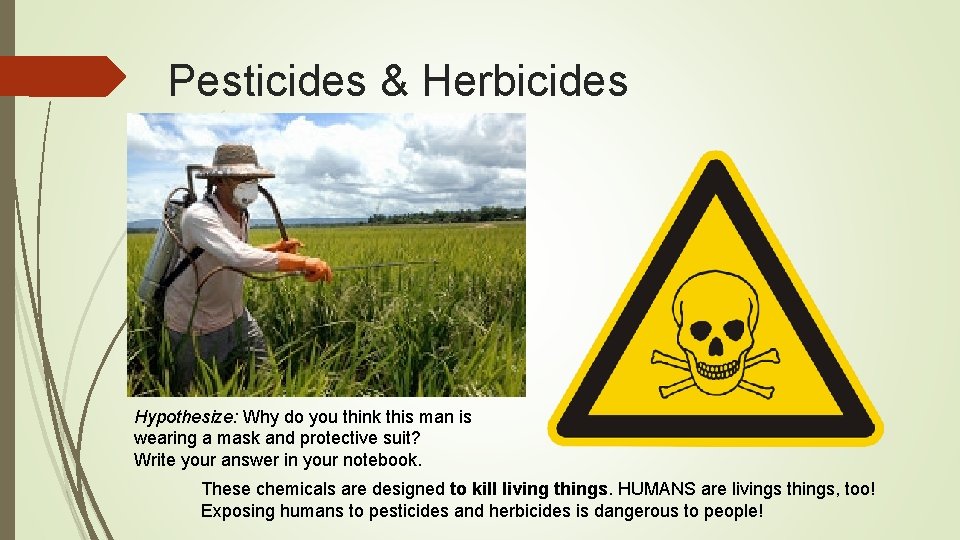 Pesticides & Herbicides Hypothesize: Why do you think this man is wearing a mask