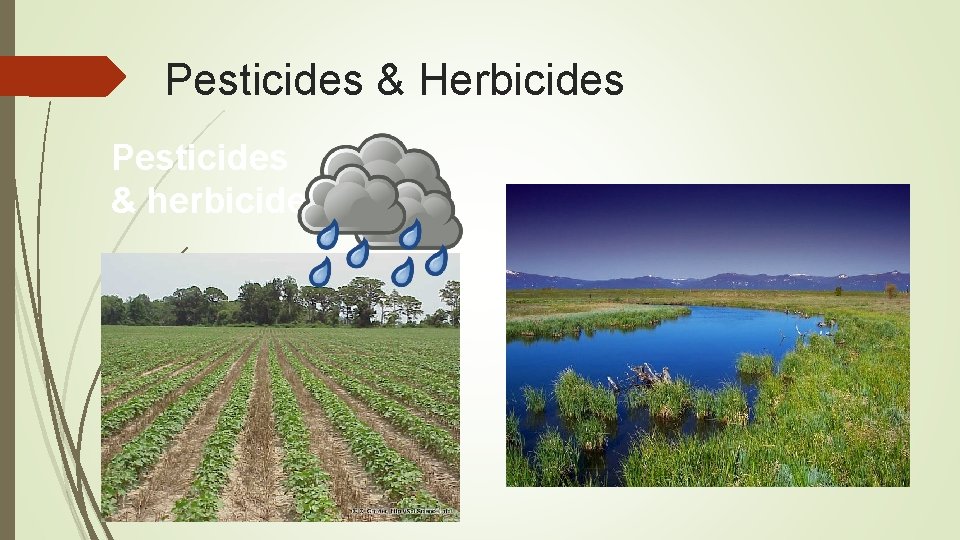Pesticides & Herbicides Pesticides & herbicides 