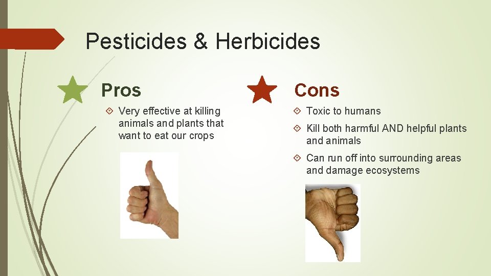 Pesticides & Herbicides Pros Very effective at killing animals and plants that want to
