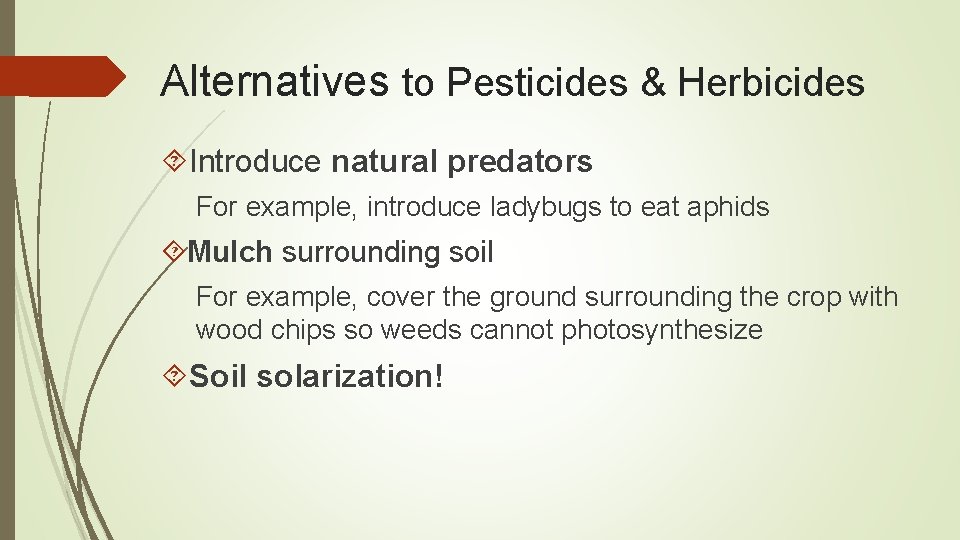 Alternatives to Pesticides & Herbicides Introduce natural predators For example, introduce ladybugs to eat