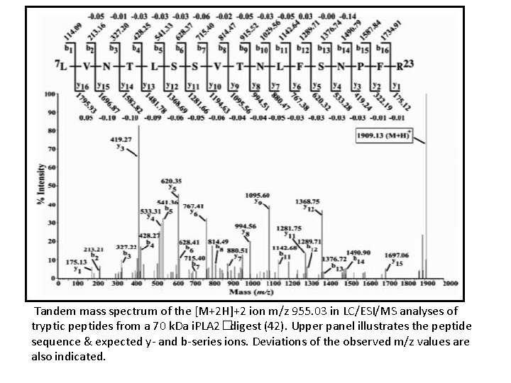  Tandem mass spectrum of the [M+2 H]+2 ion m/z 955. 03 in LC/ESI/MS