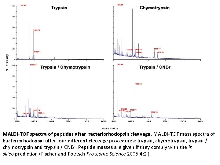 MALDI-TOF spectra of peptides after bacteriorhodopsin cleavage. MALDI-TOF mass spectra of bacteriorhodopsin after four