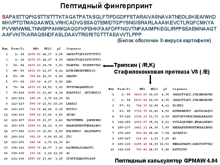 Пептидный фингерпринт SAPASTTQPIGSTTSTTTKTAGATPATASGLFTIPDGDFFSTARAIVASNAVATNEDLSKIEAIWKD MKVPTDTMAQAAWDLVRHCADVGSSAQTEMIDTGPYSNGISRARLAAAIKEVCTLRQFCMKYA PVVWNWMLTNNSPPANWQAQGFKPEHKFAAFDFFNGVTNPAAIMPKEGLIRPPSEAEMNAAQT AAFVKITKARAQSNDFASLDAAVTRGRITGTTTAEAVVTLPPP (Белок оболочки Х-вируса картофеля) Num From-To MH+ HPLC