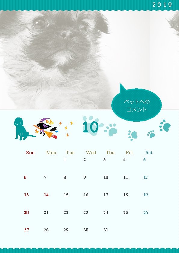 2019 ペットへの コメント 10 Sun Mon Tue Wed Thu Fri Sat 　 　 1