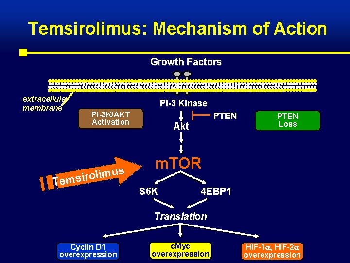 Temsirolimus: Mechanism of Action Growth Factors extracellular membrane PI-3 Kinase PI-3 K/AKT Activation us