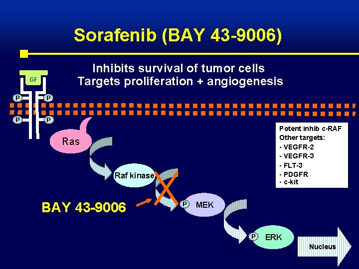 Sorafenib (BAY 43 -9006) Inhibits survival of tumor cells Targets proliferation + angiogenesis GF