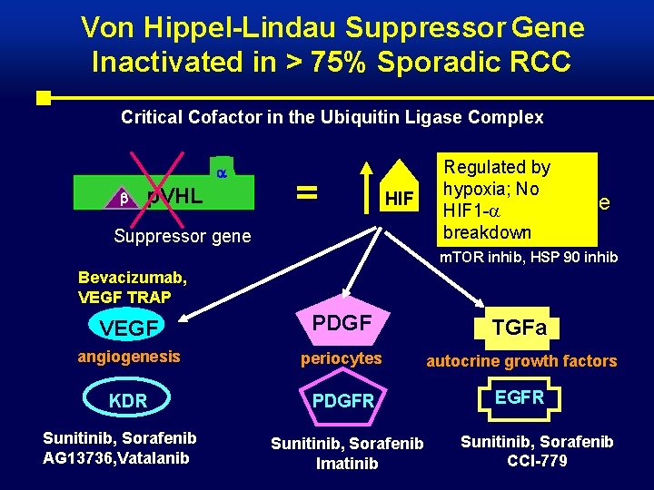 Von Hippel-Lindau Suppressor Gene Inactivated in > 75% Sporadic RCC Critical Cofactor in the