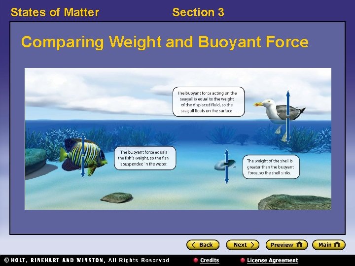 States of Matter Section 3 Comparing Weight and Buoyant Force 