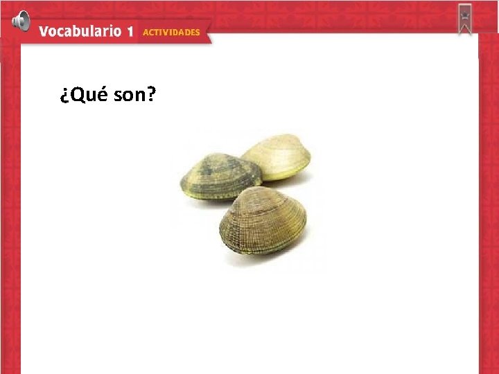 ¿Qué son? 