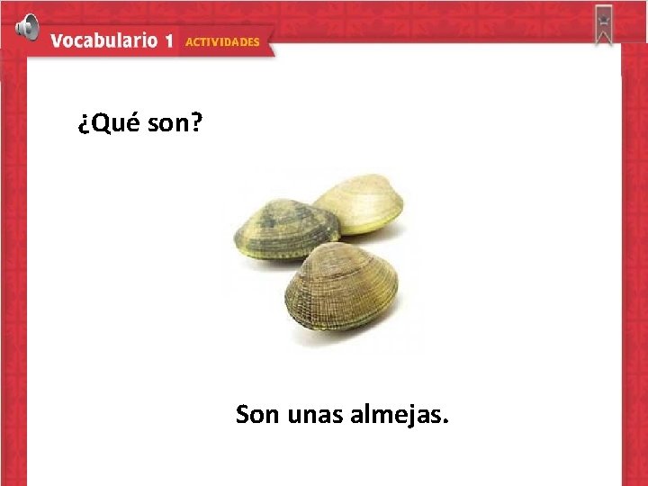 ¿Qué son? Son unas almejas. 