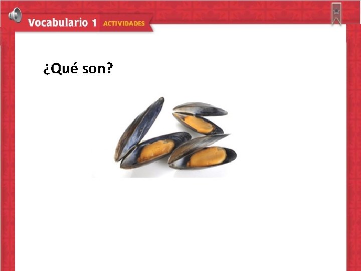 ¿Qué son? 