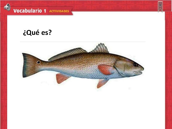 ¿Qué es? 