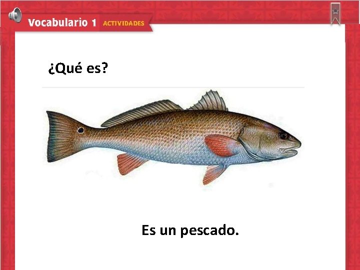 ¿Qué es? Es un pescado. 