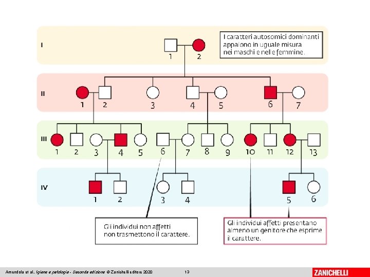Amendola et al. , Igiene e patologia - Seconda edizione © Zanichelli editore 2020