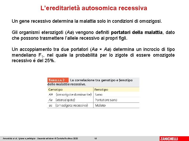 L’ereditarietà autosomica recessiva Un gene recessivo determina la malattia solo in condizioni di omozigosi.