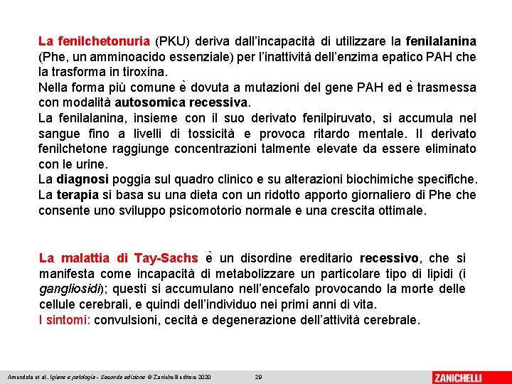 La fenilchetonuria (PKU) deriva dall’incapacità di utilizzare la fenilalanina (Phe, un amminoacido essenziale) per