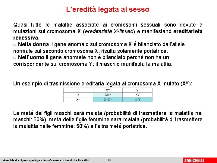 L’eredità legata al sesso Quasi tutte le malattie associate ai cromosomi sessuali sono dovute