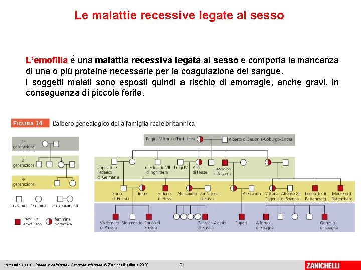 Le malattie recessive legate al sesso L’emofilia e una malattia recessiva legata al sesso