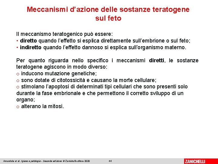 Meccanismi d’azione delle sostanze teratogene sul feto Il meccanismo teratogenico può essere: • diretto