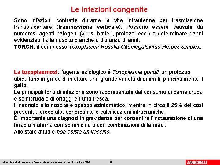 Le infezioni congenite Sono infezioni contratte durante la vita intrauterina per trasmissione transplacentare (trasmissione