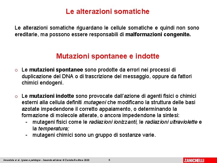 Le alterazioni somatiche riguardano le cellule somatiche e quindi non sono ereditarie, ma possono