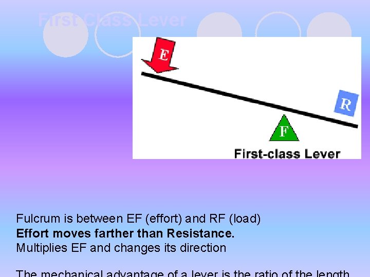 First Class Lever Fulcrum is between EF (effort) and RF (load) Effort moves farther First Class Lever Fulcrum is between EF (effort) and RF (load) Effort moves farther