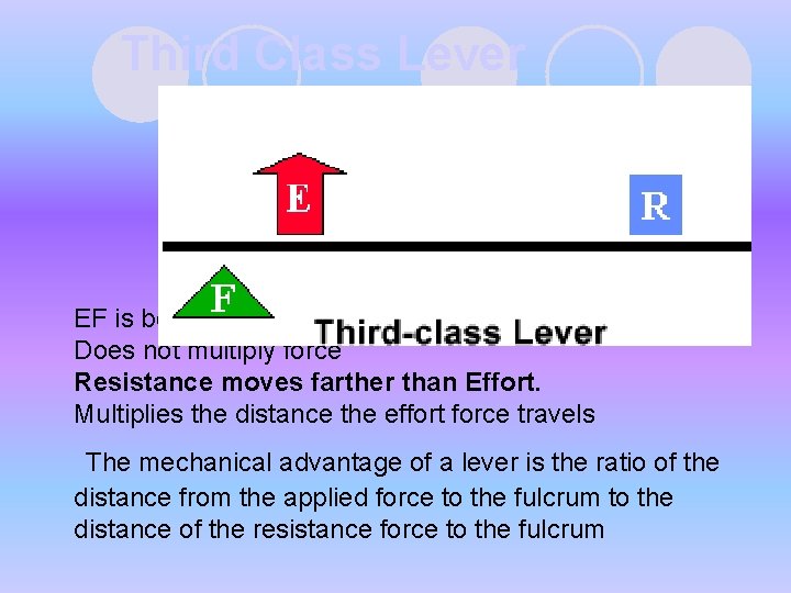Third Class Lever EF is between fulcrum and RF (load) Does not multiply force Third Class Lever EF is between fulcrum and RF (load) Does not multiply force