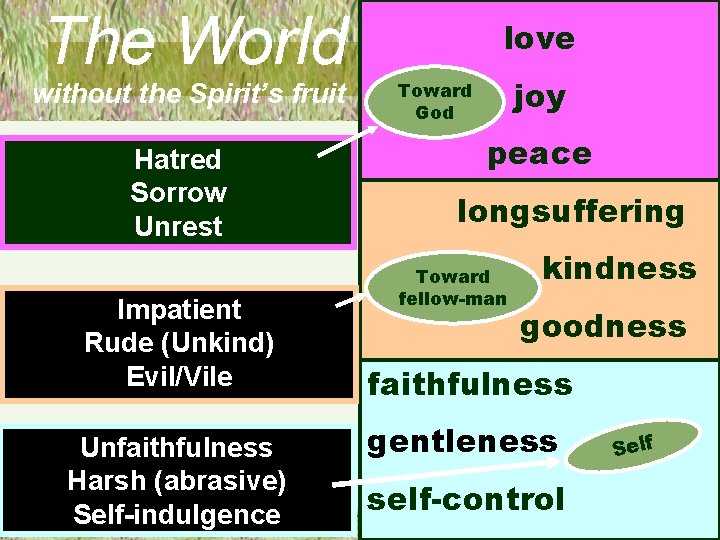 The World without the Spirit’s fruit Hatred Sorrow Unrest Impatient Rude (Unkind) Evil/Vile Unfaithfulness