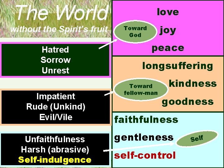 The World without the Spirit’s fruit Hatred Sorrow Unrest Impatient Rude (Unkind) Evil/Vile Unfaithfulness