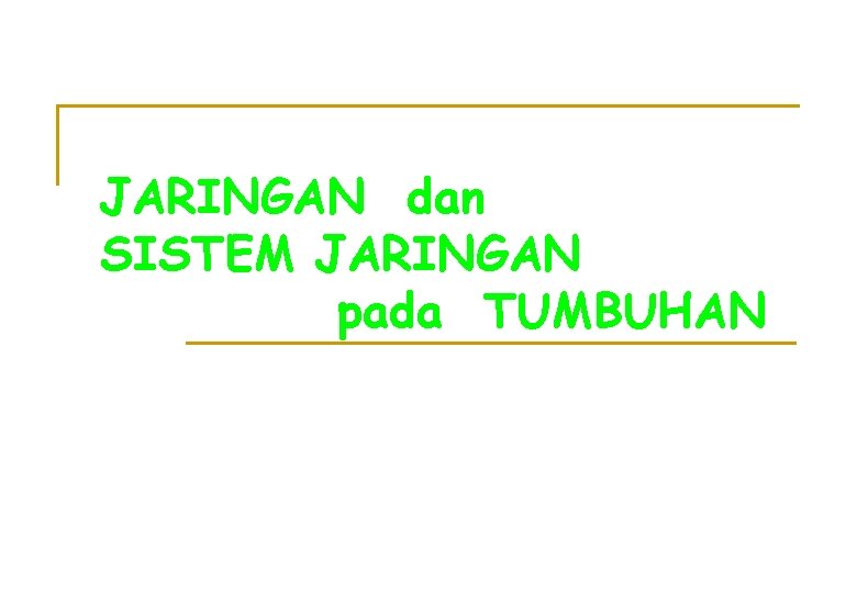 JARINGAN dan SISTEM JARINGAN pada TUMBUHAN 