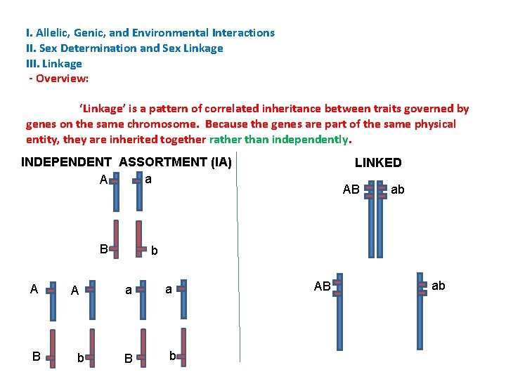 I. Allelic, Genic, and Environmental Interactions II. Sex Determination and Sex Linkage III. Linkage