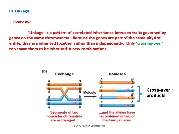 III. Linkage - Overview: ‘Linkage’ is a pattern of correlated inheritance between traits governed