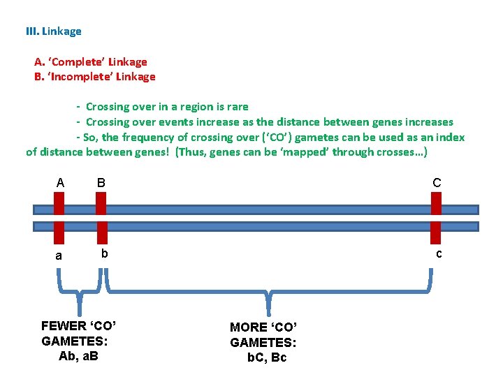 III. Linkage A. ‘Complete’ Linkage B. ‘Incomplete’ Linkage - Crossing over in a region