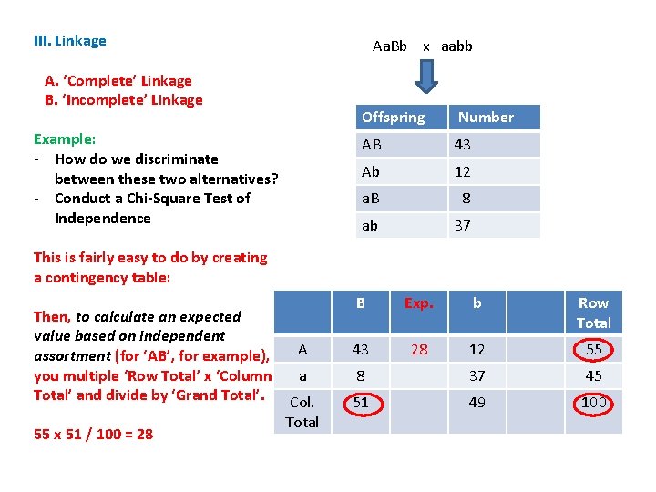 III. Linkage Aa. Bb x aabb A. ‘Complete’ Linkage B. ‘Incomplete’ Linkage Example: -