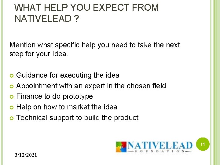 WHAT HELP YOU EXPECT FROM NATIVELEAD ? Mention what specific help you need to