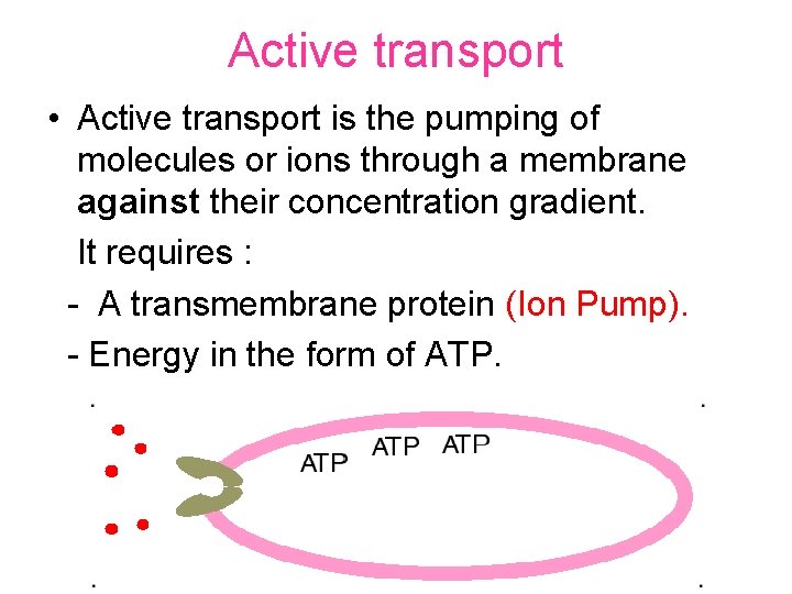 Active transport • Active transport is the pumping of molecules or ions through a