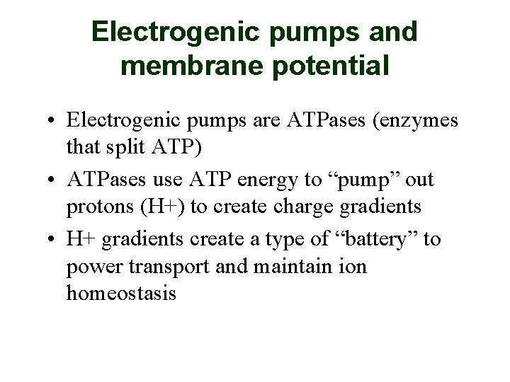 Electrogenic pumps and membrane potential • Electrogenic pumps are ATPases (enzymes that split ATP)