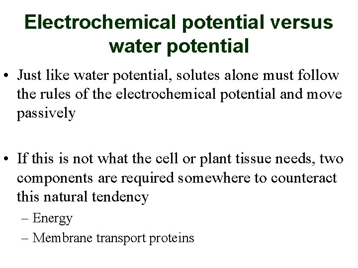 Electrochemical potential versus water potential • Just like water potential, solutes alone must follow