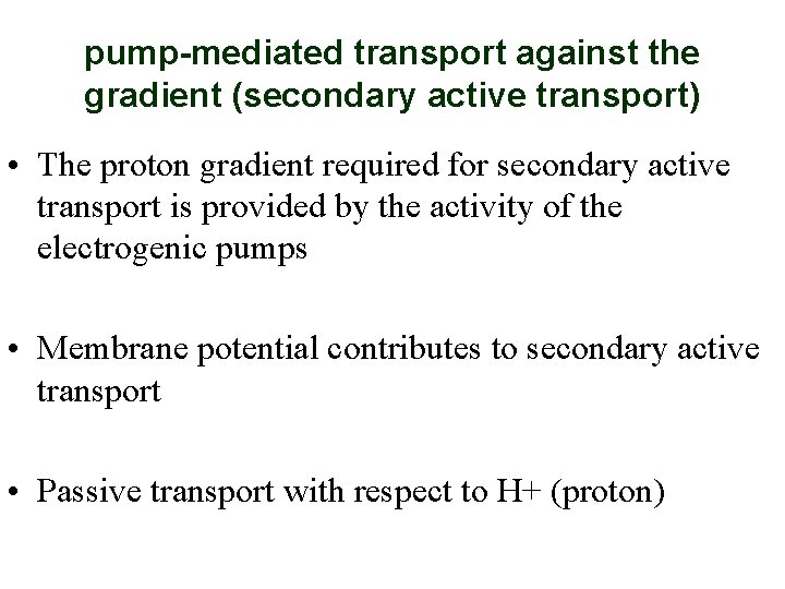 pump-mediated transport against the gradient (secondary active transport) • The proton gradient required for