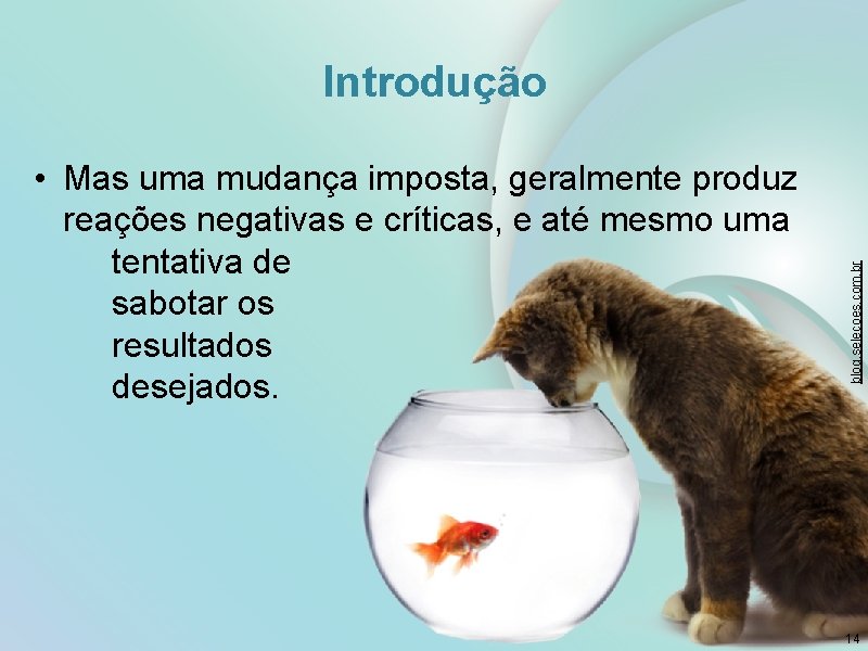  • Mas uma mudança imposta, geralmente produz reações negativas e críticas, e até