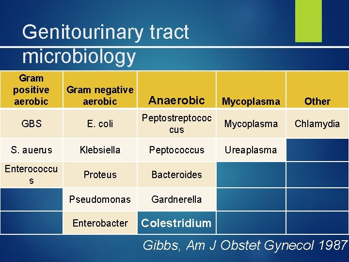 Genitourinary tract microbiology Gram positive aerobic Gram negative aerobic Anaerobic Mycoplasma Other GBS E.