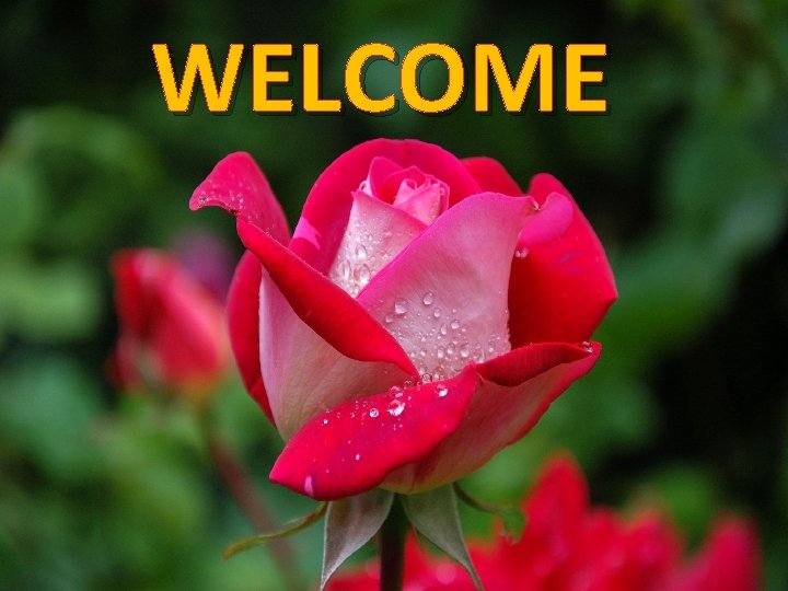 WELCOME 