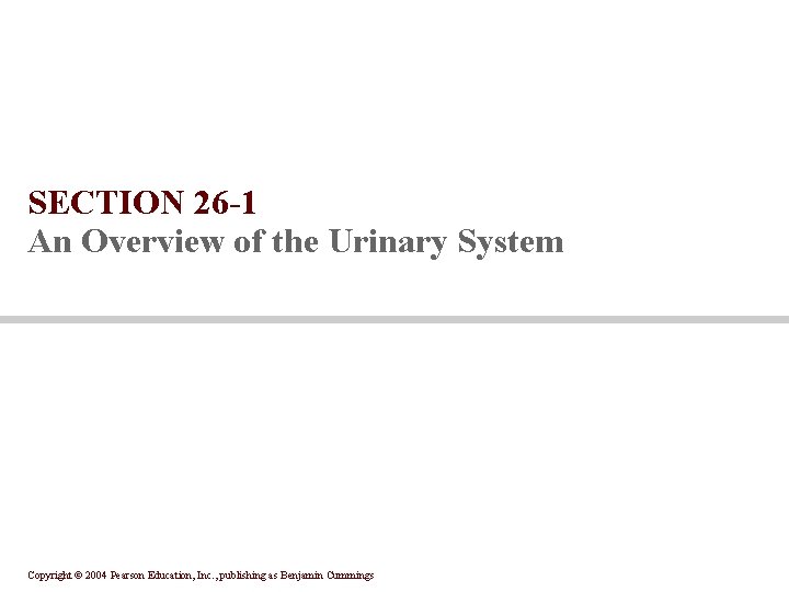 Anatomy Physiology SIXTH EDITION Chapter 26 part 1